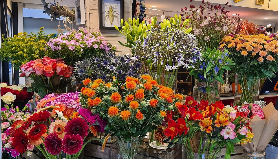 Le p'tit coin dédié à la fleur coupée dans toutes ses déclinaisons. Du simple diner.. à la soirée du siècle, en passant par l'incoutournable Brunch ! Fleurissez vos moments avec nos fleurs disponibles selon les saisons